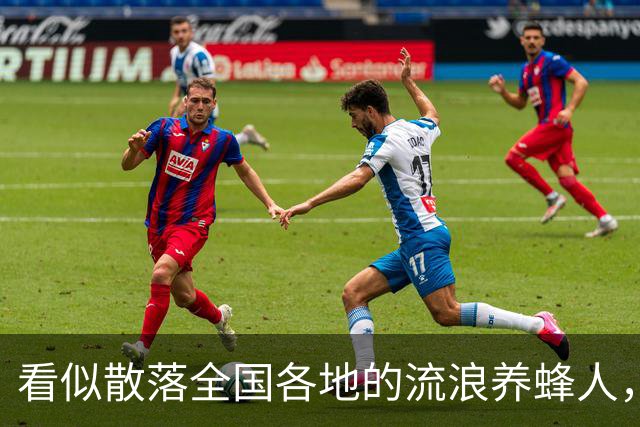 看似散落全国各地的流浪养蜂人，五千人都来自同个浙江小县城
